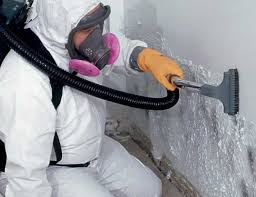 Best Air Quality Testing for Mold Spores  in Tangerine, FL